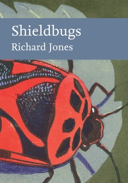 Shieldbugs (Hardcover)