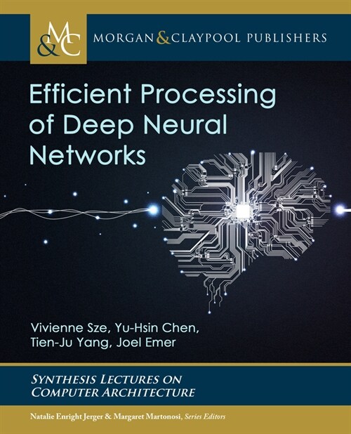 Efficient Processing of Deep Neural Networks (Hardcover)
