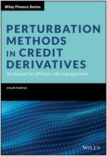 Perturbation Methods in Credit Derivatives: Strategies for Efficient Risk Management (Hardcover)