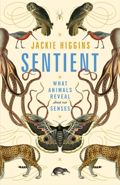 Sentient : What Animals Reveal About Our Senses (Paperback)