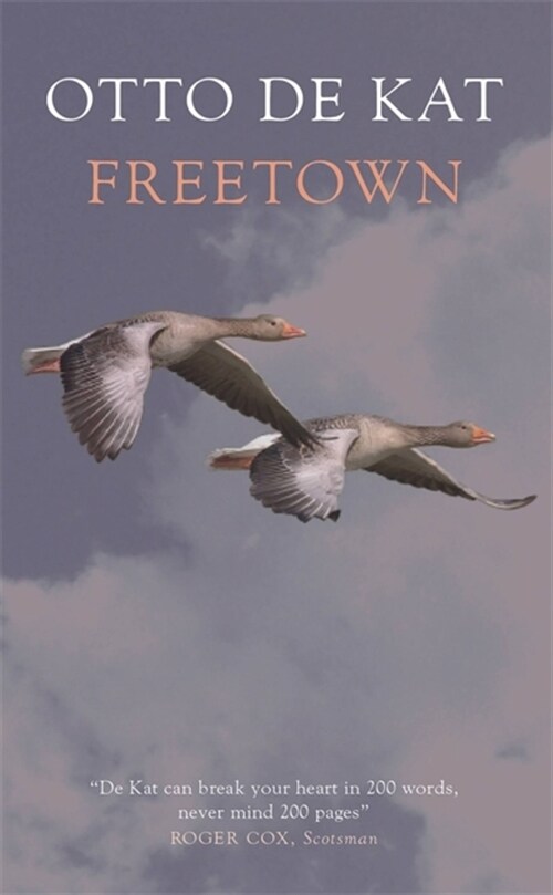 Freetown (Paperback)