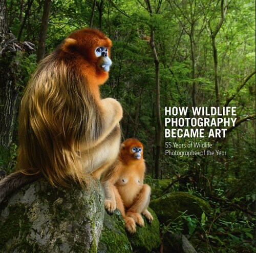How Wildlife Photography Became Art : 55 Years of Wildlife Photographer of the Year (Hardcover)