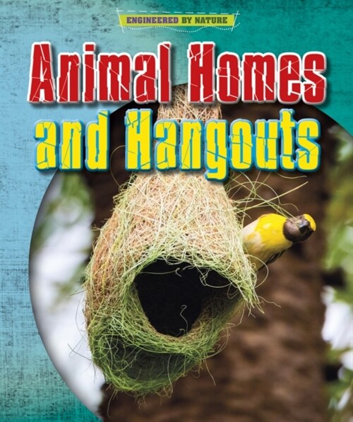 Animal Homes and Hang-outs (Paperback)