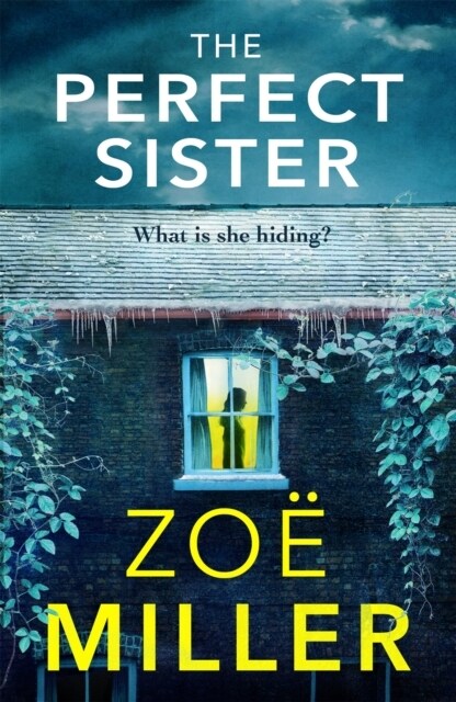 The Perfect Sister (Paperback)