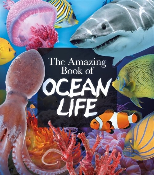 THE AMAZING BOOK OF OCEAN LIFE (Paperback)