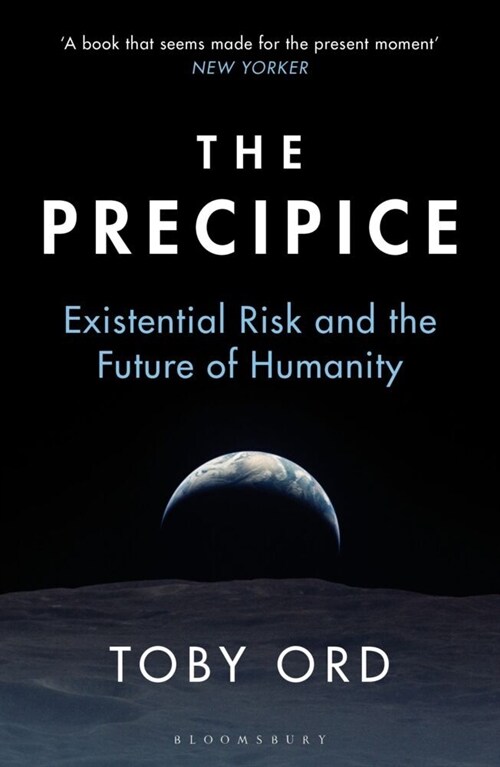 The Precipice : ‘A book that seems made for the present moment’ New Yorker (Paperback)