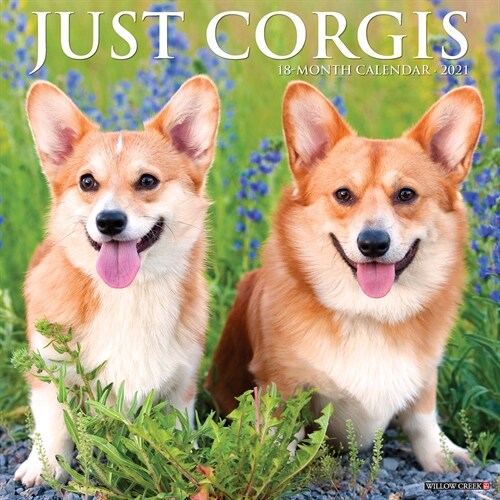 Just Corgis 2021 Wall Calendar (Dog Breed Calendar) (Wall)