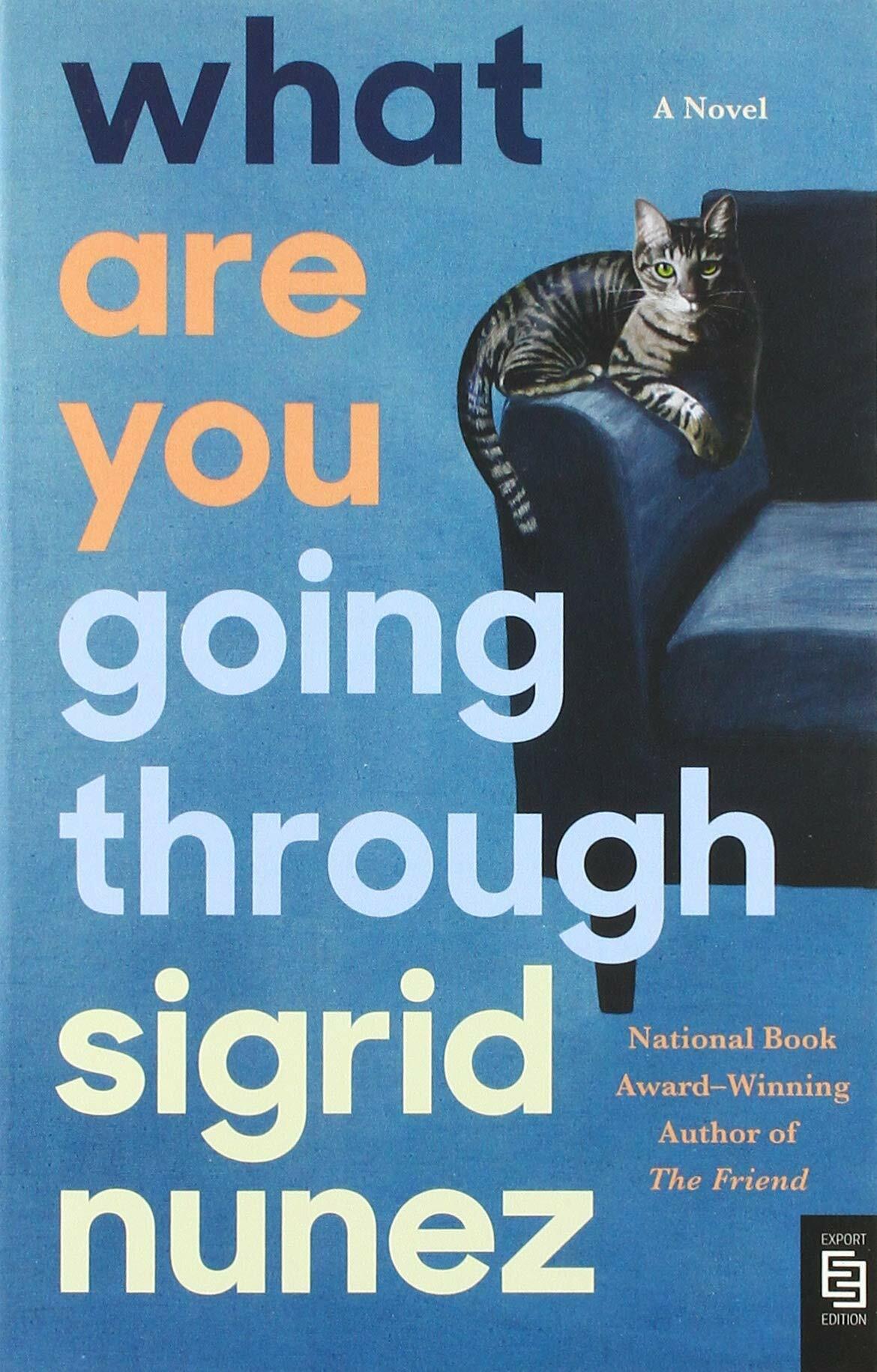 What Are You Going Through : A Novel (Paperback)