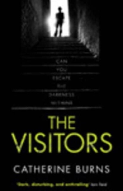 The Visitors (Hardcover, Large type / large print ed)