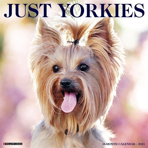 Just Yorkies 2021 Wall Calendar (Dog Breed Calendar) (Wall)