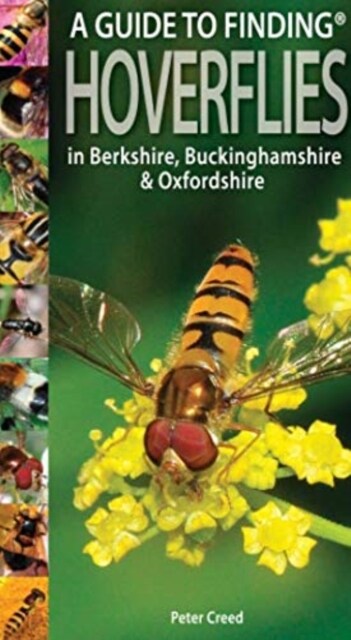 A Guide to Finding Hoverflies in Berkshire, Buckinghamshire and Oxfordshire (Paperback)