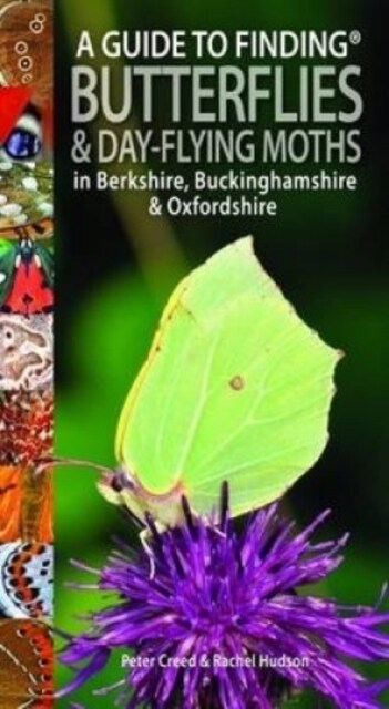 A Guide to Finding Butterflies and Day-Flying Moths in Berkshire, Buckinghamshire and Oxfordshire (Paperback)