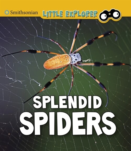 Splendid Spiders (Paperback)