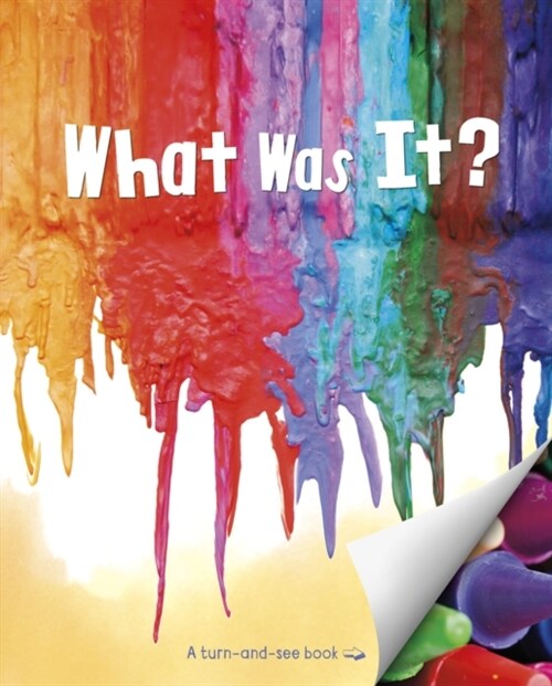 What Was It? (Paperback)