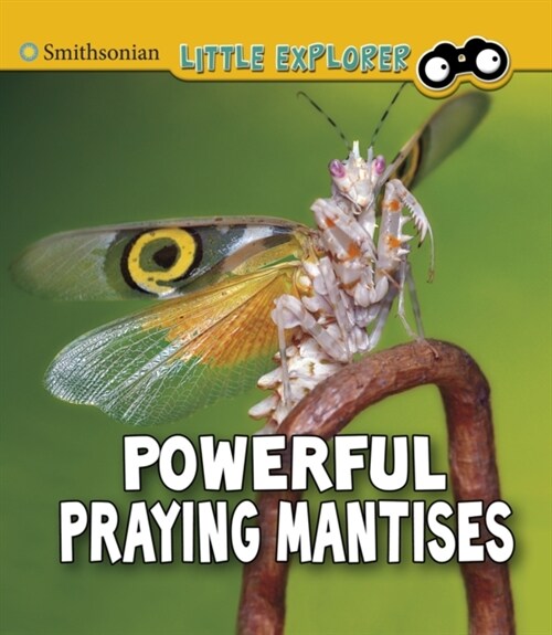 Powerful Praying Mantises (Paperback)