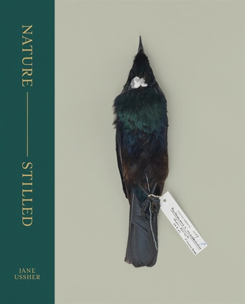 Nature -- Stilled (Hardcover)