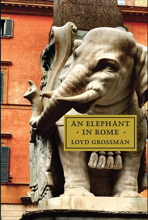 An Elephant in Rome : The Pope and the Making of the Eternal City (Hardcover)