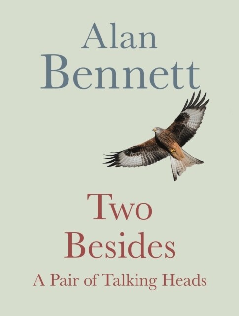 Two Besides : A Pair of Talking Heads (Hardcover, Main)