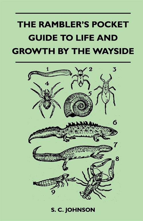 The Ramblers Pocket Guide to Life and Growth by the Wayside (Paperback)