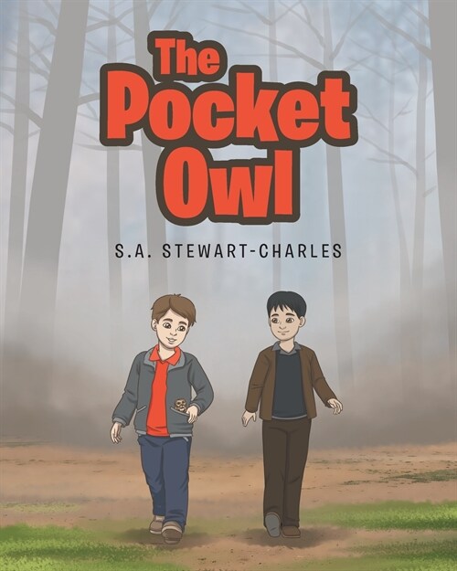 The Pocket Owl (Paperback)