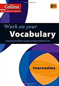 Vocabulary : B1 (Paperback)