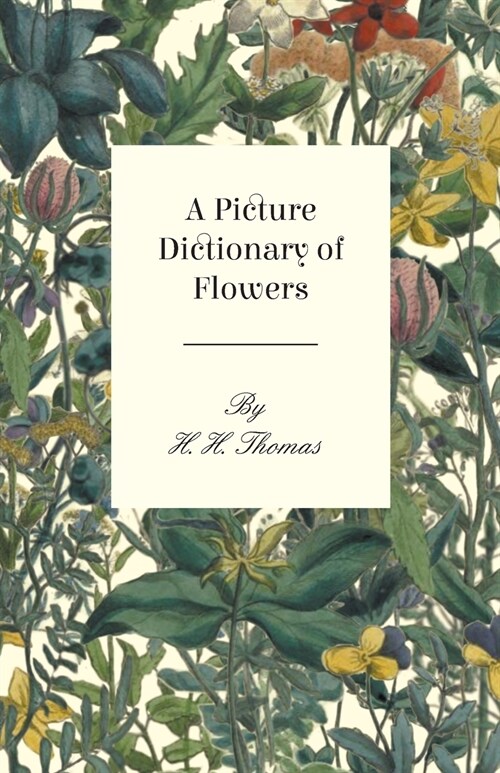 A Picture Dictionary of Flowers (Paperback)