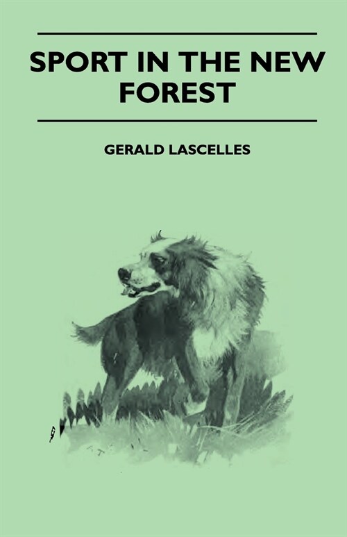 Sport In The New Forest (Paperback)