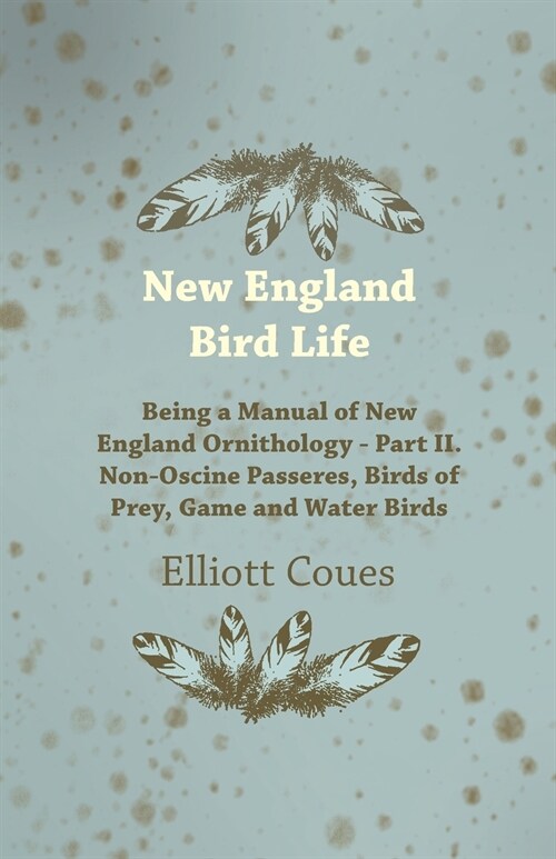 New England Bird Life - Being a Manual of New England Ornithology - Part II. Non-Oscine Passeres, Birds of Prey, Game and Water Birds (Paperback)