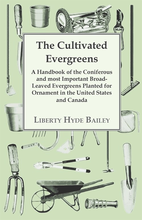 The Cultivated Evergreens - A Handbook of the Coniferous and most Important Broad-Leaved Evergreens Planted for Ornament in the United States and Cana (Paperback)