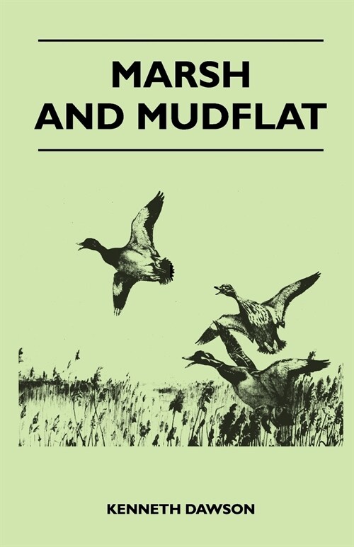 Marsh and Mudflat (Paperback)