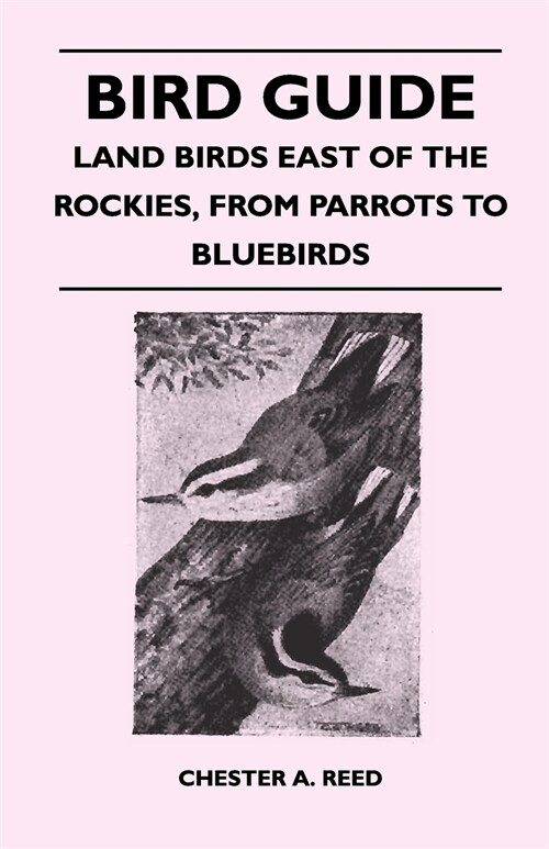 Bird Guide - Land Birds East of the Rockies, From Parrots to Bluebirds (Paperback)