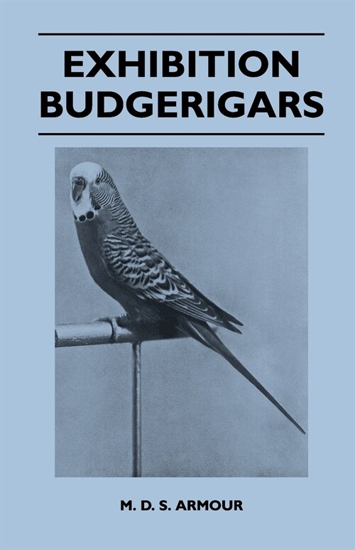 Exhibition Budgerigars (Paperback)