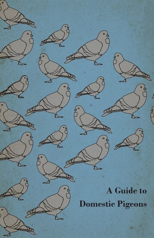 A Guide to Domestic Pigeons - With Chapters on Doves, Training and Their Habits (Paperback)