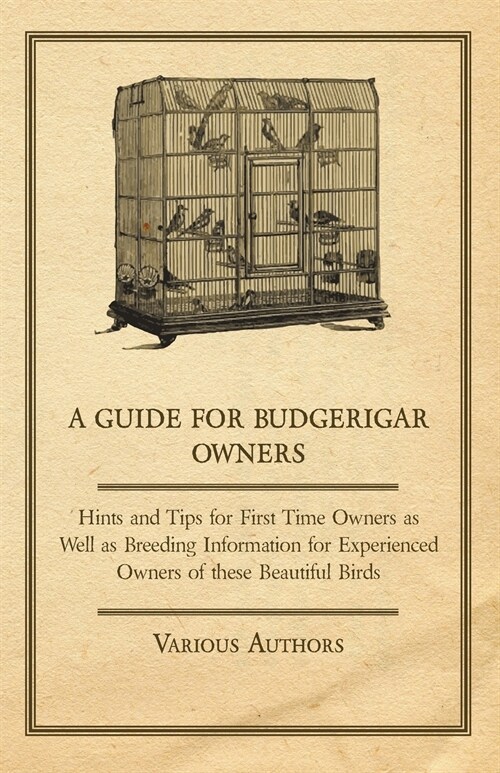 A Guide for Budgerigar Owners - Hints and Tips for First Time Owners as Well as Breeding Information for Experienced Owners of these Beautiful Birds (Paperback)