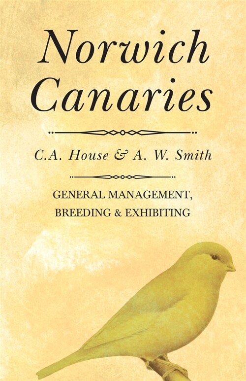 Norwich Canaries (Paperback)