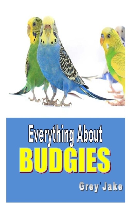 Everything about Budgies: Everything about budgies care guides, feeding, grooming, behavior, history, housing, treats, training and how they mak (Paperback)