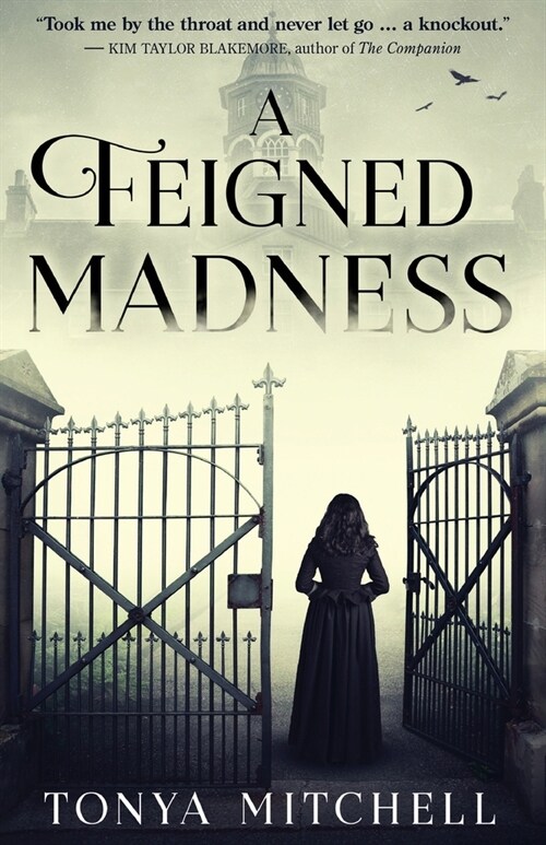 A Feigned Madness (Paperback)