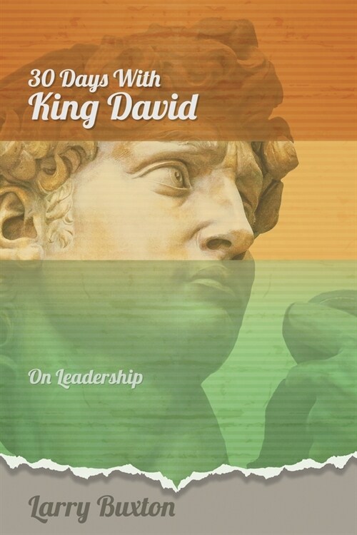 Thirty Days With King David: On Leadership (Paperback)