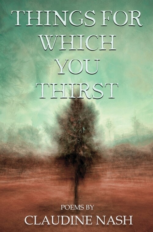 Things for Which You Thirst (Paperback)