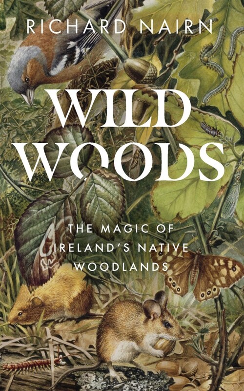 Wild Woods: The Magic of Irelands Native Woodlands (Paperback)