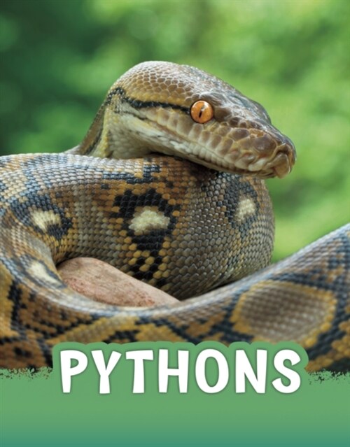 Pythons (Hardcover)