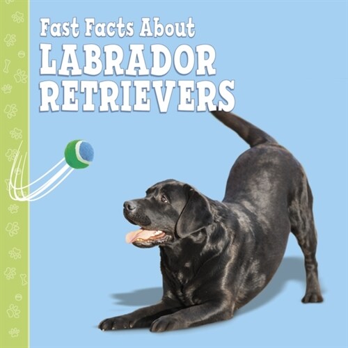Fast Facts About Labradors (Hardcover)