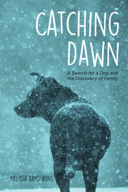 Catching Dawn (Paperback)