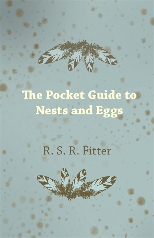 The Pocket Guide to Nests and Eggs (Paperback)