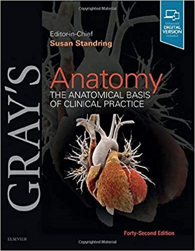 Grays Anatomy : The Anatomical Basis of Clinical Practice (Hardcover, 42 ed)