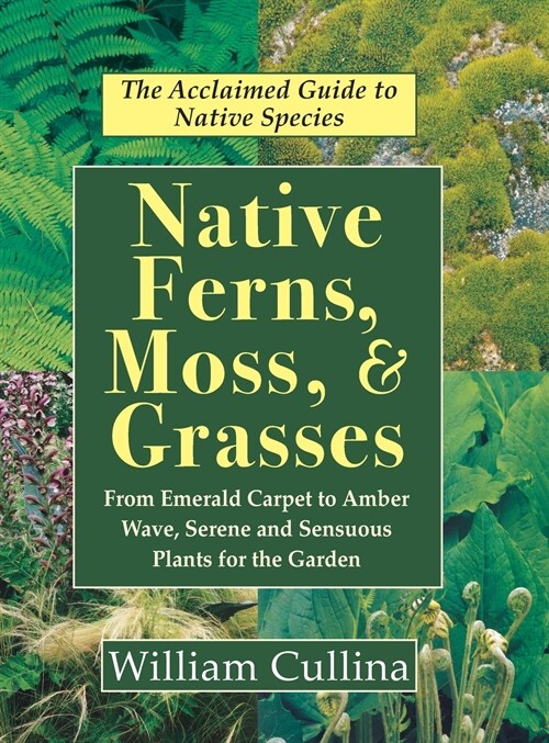 Native Ferns, Moss, and Grasses (Hardcover)