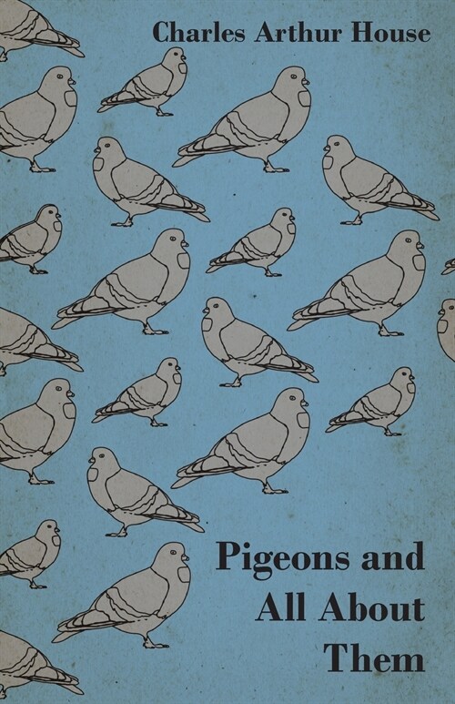 Pigeons and All About Them (Paperback)