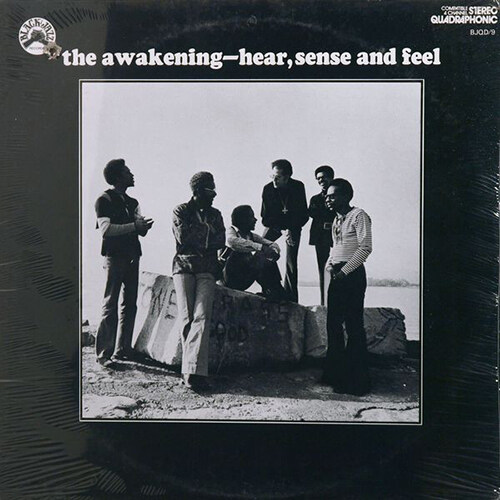 [수입] The Awakening - Hear, Sense and Feel (Remastered LP Edition)