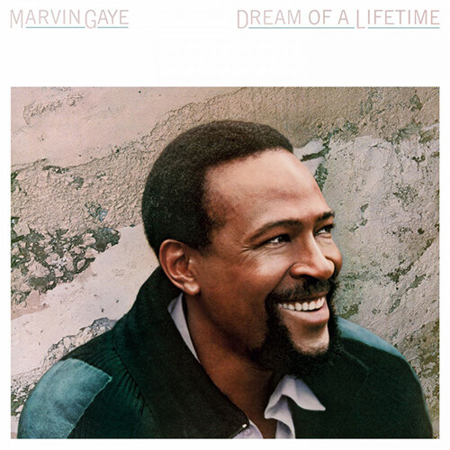 [수입] Marvin Gaye - Dream of a Lifetime [180g 투명블루 컬러 LP]