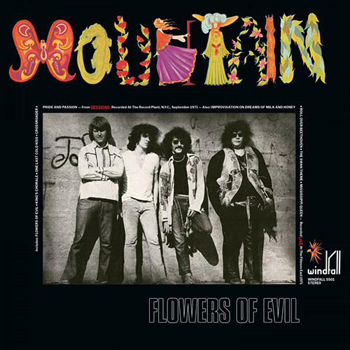 [수입] Mountain - Flowers of Evil [180g LP]